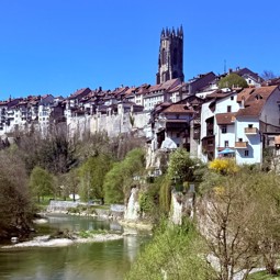 Fribourg Site Internet Copie