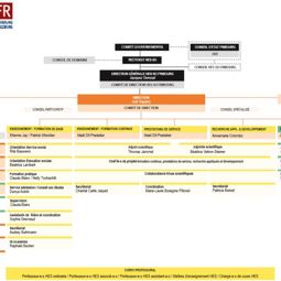 Visuel Organigramme