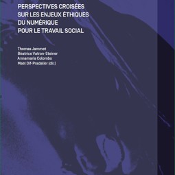 Couv Persepctives Numériques PUBLI